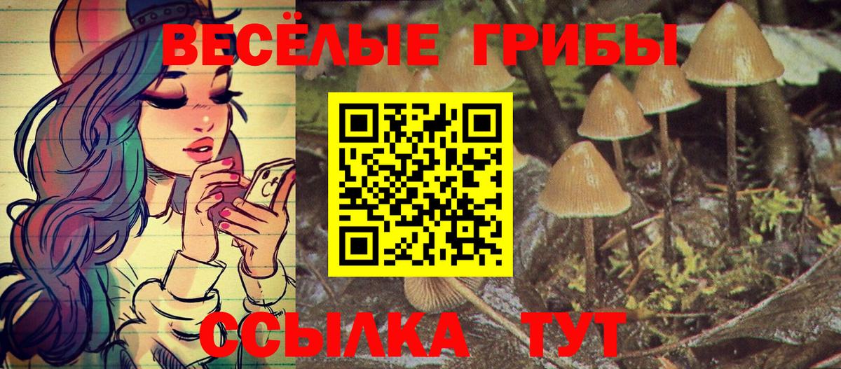 Галлюциногенные грибы Psilocybine cubensis Обнинск